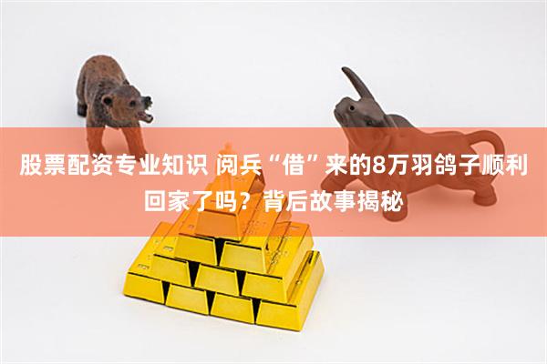 股票配资专业知识 阅兵“借”来的8万羽鸽子顺利回家了吗？背后故事揭秘