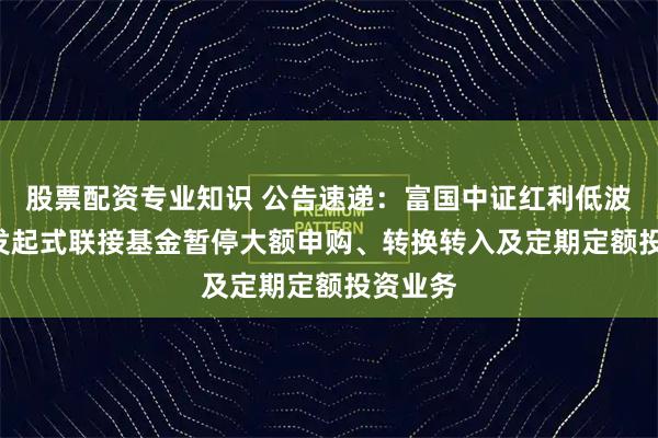 股票配资专业知识 公告速递：富国中证红利低波动ETF发起式联接基金暂停大额申购、转换转入及定期定额投资业务